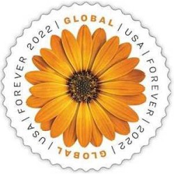 1 عدد تمبر سری پستی - گل - دی زی آفریقایی - خود چسب - آمریکا 2022 فروش تمبر 1.3 دلار در زمان انتشار