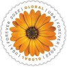 1 عدد تمبر سری پستی - گل - دی زی آفریقایی - خود چسب - آمریکا 2022 فروش تمبر 1.3 دلار در زمان انتشار