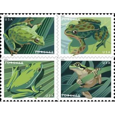 4 عدد تمبرجانوران - قورباغه ها - خود چسب - آمریکا 2019 قیمت 5.5 دلار