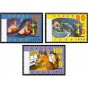 3 عدد تمبر تابستان در کمک به رویدادهای فرهنگی و اجتماعی - هلند 1996  