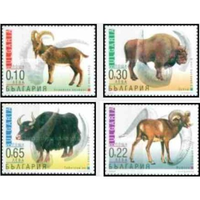 4 عدد تمبر حیوانات - بلغارستان 2000    
