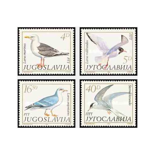4 عدد تمبر پرندگان - مرغهای دریایی - یوگوسلاوی 1984