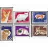 6 عدد تمبر گربه ها - گربه ایرانی - بلغارستان 1983