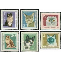 6 عدد تمبر گربه ها - گربه ایرانی - بلغارستان 1967