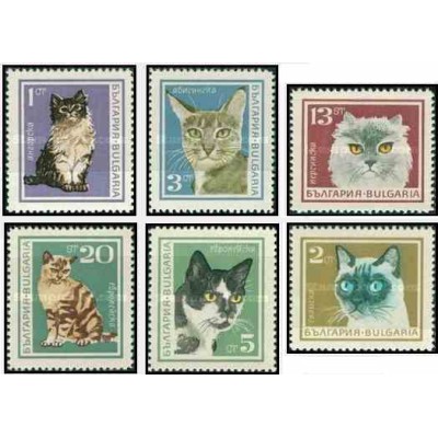 6 عدد تمبر گربه ها - گربه ایرانی - بلغارستان 1967
