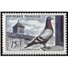 1 عدد تمبر کبوتر - یادبود fancier - فرانسه 1957