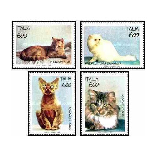4 عدد تمبر گربه ها - یکی از تمبرها گربه ایرانی - ایتالیا 1993