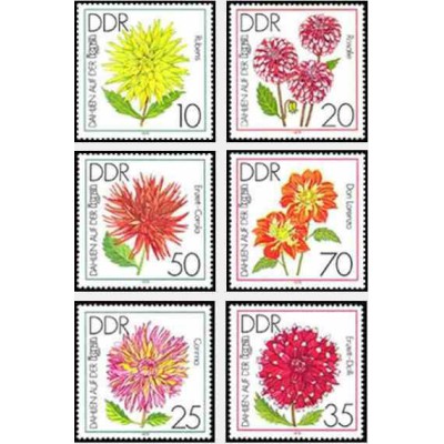 6 عدد تمبر گلهای کوکب - نمایگاه بین المللی باغبانی ارفورت - جمهوری دموکراتیک آلمان 1979