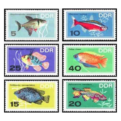 6 عدد تمبر ماهیهای آکواریومی - جمهوری دموکراتیک آلمان 1966