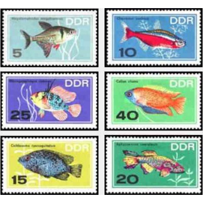 6 عدد تمبر ماهیهای آکواریومی - جمهوری دموکراتیک آلمان 1966