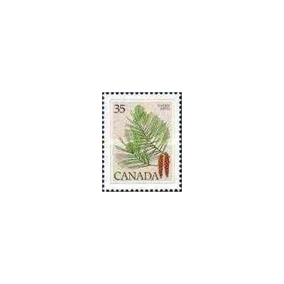 1 عدد تمبر سری پستی گیاهان - صنوبر سفید شرقی ، کاج نرم - کانادا 1979