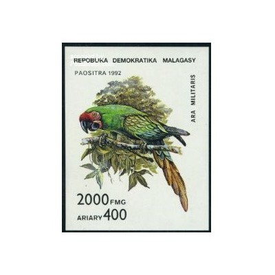 سونیرشیت طوطی ها - ماداگاسکار 1993