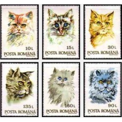 6 عدد تمبر گربه ها - رومانی 1993