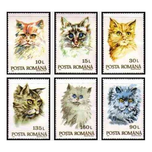 6 عدد تمبر گربه ها - رومانی 1993