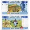 اسکناس 1000 فرانک - آفریقای مرکزی 2002