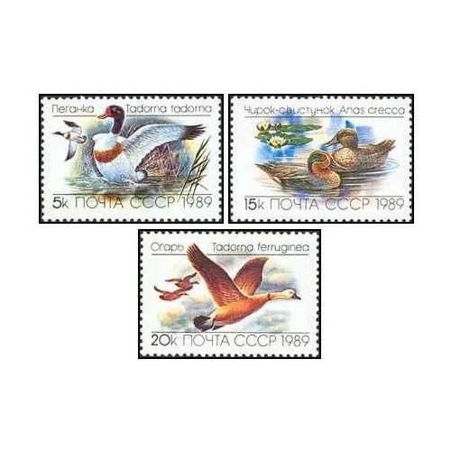 3 عدد  تمبر اردک ها - شوروی 1989