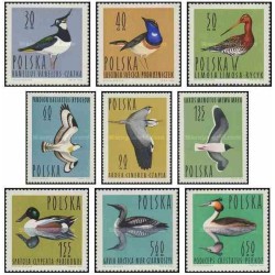 9 عدد تمبر پرندگان آبزی - مرغابی یا اردک وحشی - لهستان 1964