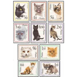 10 عدد تمبر گربه ها - لهستان 1964 - گربه ایرانی