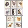 10 عدد تمبر گربه ها - لهستان 1964 - گربه ایرانی