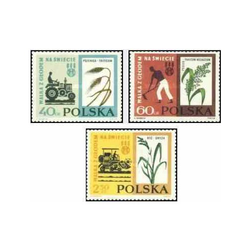 3 عدد تمبر مبارزه با گرسنگی -  لهستان 1963