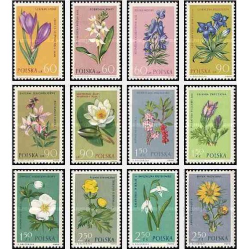 12 عدد تمبر گلهای حفاظت شده -  لهستان 1962
