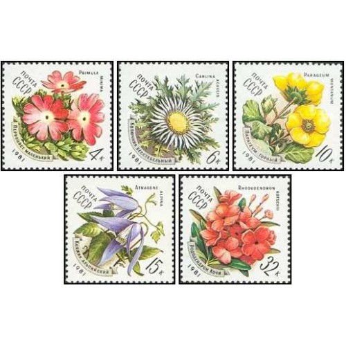5 عدد  تمبر گل های کارپات - شوروی 1981