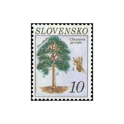 1 عدد تمبر حفاظت از طبیعت - درخت - 10SK - اسلواکی 1993
