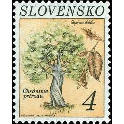 1 عدد تمبر حفاظت از طبیعت - درخت - 4SK - اسلواکی 1993