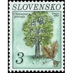 1 عدد تمبر حفاظت از طبیعت - درخت - اسلواکی 1993