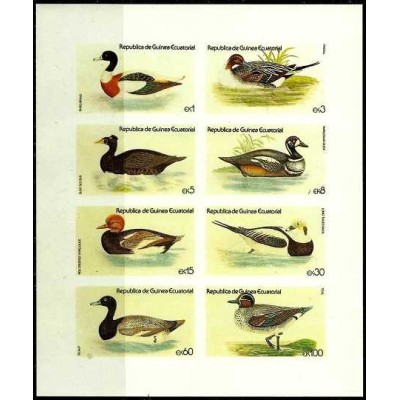 مینی شیت اردکها - بدون دندانه  - گینه استوایی 1978