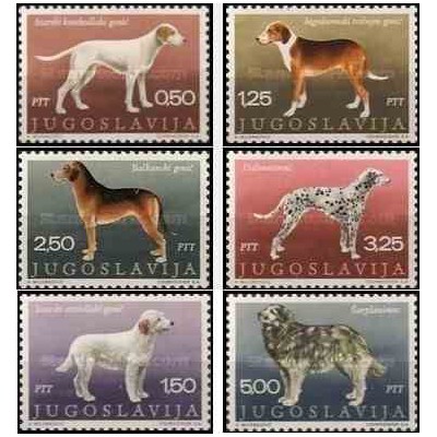 6 عدد تمبر نژاد سگها - یوگوسلاوی 1970