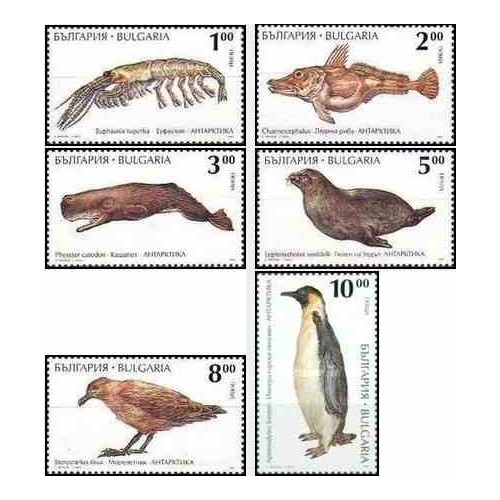 6 عدد تمبر حیوانات قطب شمال - بلغارستان 1995