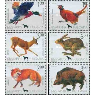 6 عدد تمبر حیوانات شکار - بلغارستان 1993