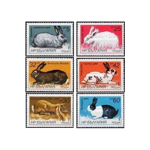 6 عدد تمبر خرگوشهای صحرائی و اهلی - بلغارستان 1986