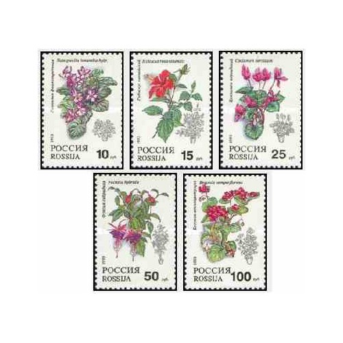 5 عدد تمبر گیاهان گلدانی - روسیه 1993