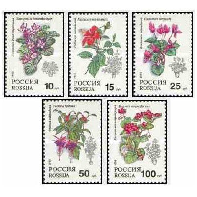 5 عدد تمبر گیاهان گلدانی - روسیه 1993