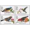 4 عدد تمبر پرندگان گرمسیری - آمریکا 1998