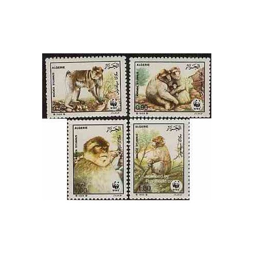 4 عدد تمبر گونه های در معرض انقراض - میمون بربری - WWF - الجزائر 1988