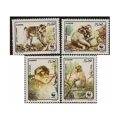 4 عدد تمبر گونه های در معرض انقراض - میمون بربری - WWF - الجزائر 1988