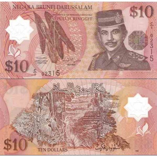 اسکناس پلیمر 10 رینگیت - دارالسلام برونئی 1996 سفارشی اسکناس پلیمر 10 رینگیت - دارالسلام برونئی 1996 سفارشی