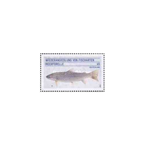 1 عدد  تمبر ماهی - معرفی مجدد گونه های ماهی - آلمان 2014