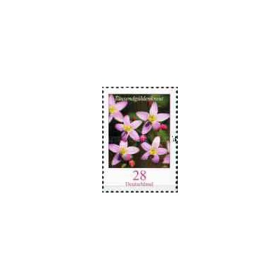 1 عدد  تمبر سری پستی گل - سنتوری اروپایی - آلمان 2014