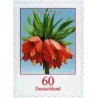 1 عدد  تمبر سری پستی - گلها - خودچسب - 60c - آلمان 2013