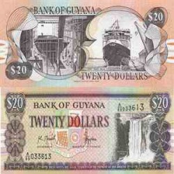 اسکناس 20 دلار - گویانا 1989