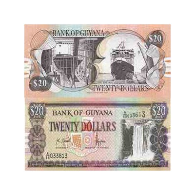 اسکناس 20 دلار - گویانا 1989