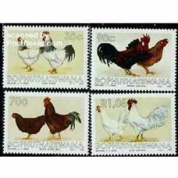 4 عدد تمبر خروسها - بوتسوانا - آفریقای جنوبی 1993