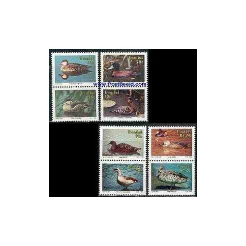 8 عدد تمبر غازها و اردکها - ترنسکی - آفریقای جنوبی 1992 