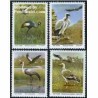 4 عدد تمبر پرندگان - ترنسکی - آفریقای جنوبی 1991 