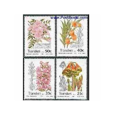 4 عدد تمبر گلها - ترنسکی - آفریقای جنوبی 1989