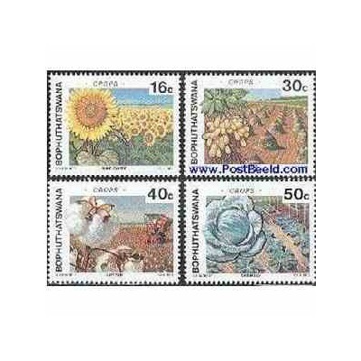 4 عدد تمبر کشاورزی - بوتسوانا - آفریقای جنوبی 1988